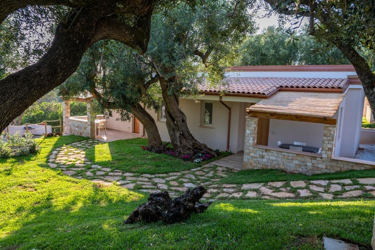 Il Mirto Residence Marina di Camerota Ngoại thất bức ảnh