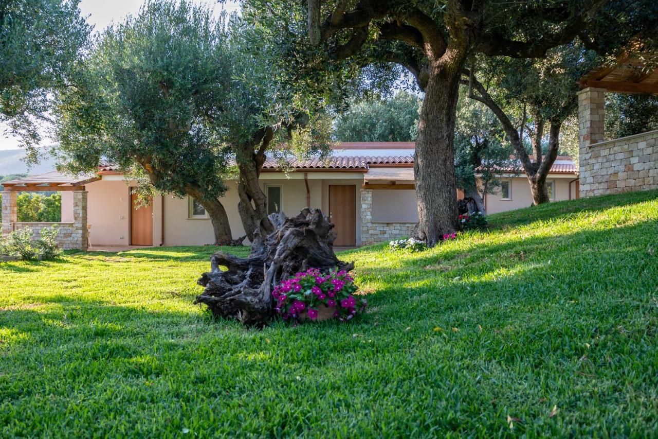 Il Mirto Residence Marina di Camerota Ngoại thất bức ảnh